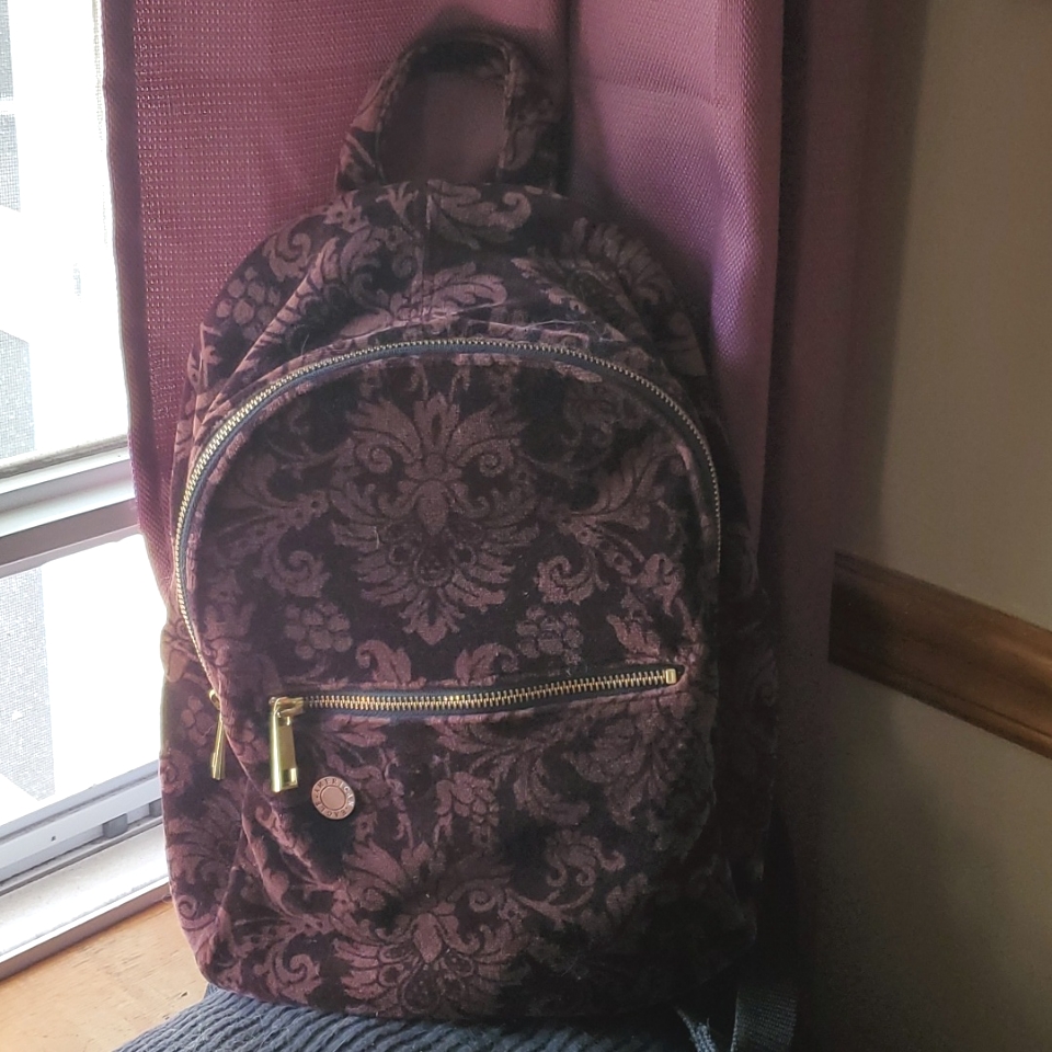American Eagle Backpack